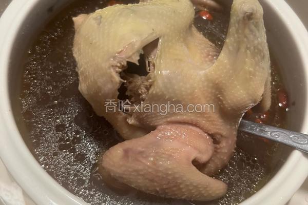 红参阿胶鸽子汤