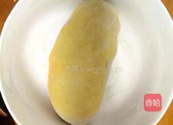 蒸南瓜馒头和花卷的做法图解3