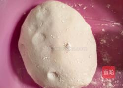 韭菜鸡蛋烫面包子的做法图解2