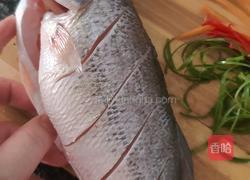 清蒸鲈鱼的做法图解2