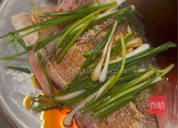 清蒸红鱼的做法图解8