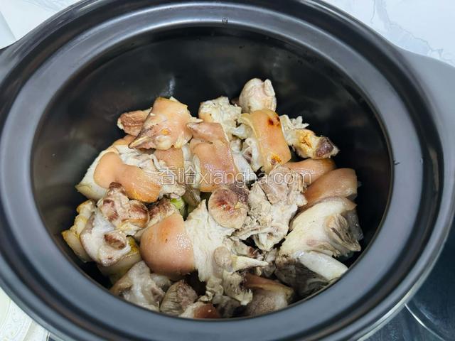 豬腳先放入沙鍋最底下一層