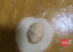 小猪蛋黄酥（奶香椰蓉馅）的做法图解5