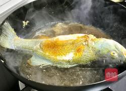 红烧鲈鱼的做法图解4