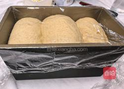 全麦吐司的做法图解11