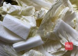 猪肉白菜炖粉条（家常版）的做法图解1