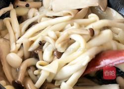 菌菇牛肉煲的做法图解5