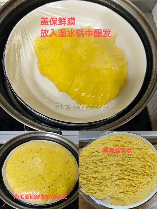取出放入盆中，盖保鲜膜醒发至有蜂窝状