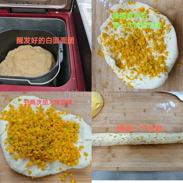 醒发好的白面团揉面排气，120g南瓜碎分两次加入揉成一个长条