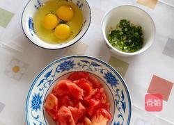 番茄炒鸡蛋的做法图解2