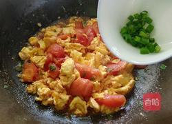 番茄炒鸡蛋的做法图解8