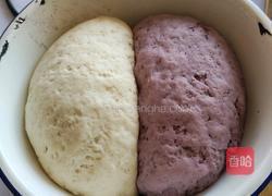 双色花卷的做法图解6