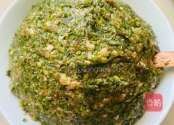 大肉小茴香水饺的做法图解3