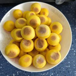 鸡蛋小球包的做法[图]