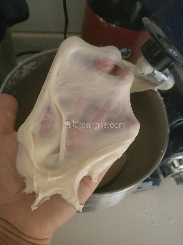 揉成这样的手套膜即可发酵至两倍大