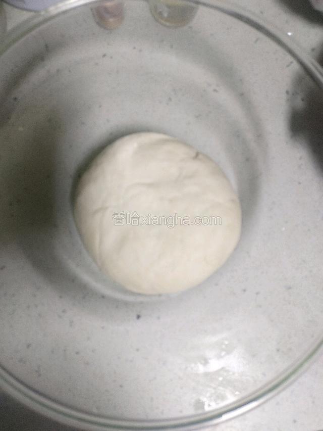 500克的中筋面粉加入4克干酵母，10克白糖，10克猪油，230克水，用筷子搅拌成絮状后，下手揉成光滑的面团，盖上盖子放在温暖处醒发至两倍大.