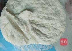 豇豆猪肉大包子的做法图解4