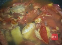 西红柿闷鲈鱼的做法图解3