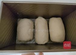 波兰种吐司的做法图解7