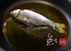 冬瓜鲫鱼汤的做法图解4