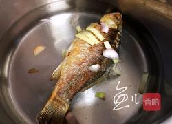 冬瓜鲫鱼汤的做法图解6