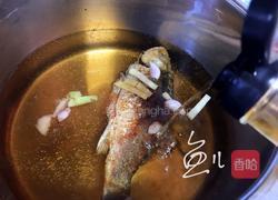 冬瓜鲫鱼汤的做法图解9