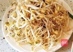 豆芽炒韭菜的做法图解2