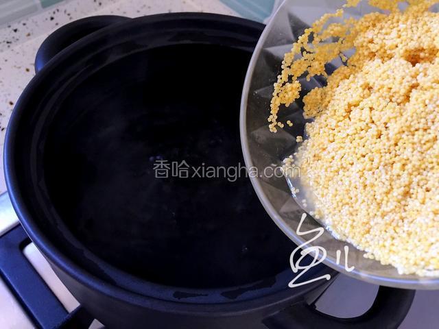 砂锅中的水煮沸，倒入淘洗后的小米