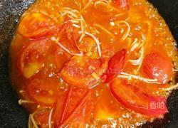 番茄牛肉的做法图解6