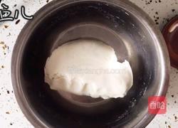 水晶蒸饺的做法图解19