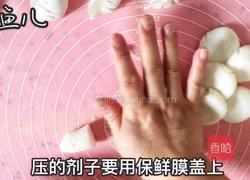 水晶蒸饺的做法图解22