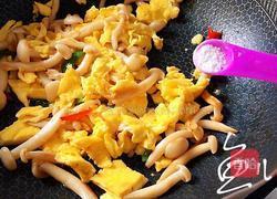 白玉菇炒鸡蛋的做法图解14