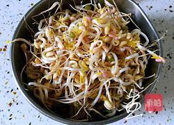 豆芽炒粉条的做法图解2