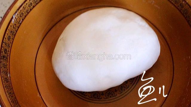 揉成面团，开始会有点粗糙，过五分钟再揉一下就光滑了，盖盖醒面一小时