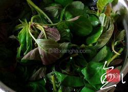 杂粮包子的做法图解5