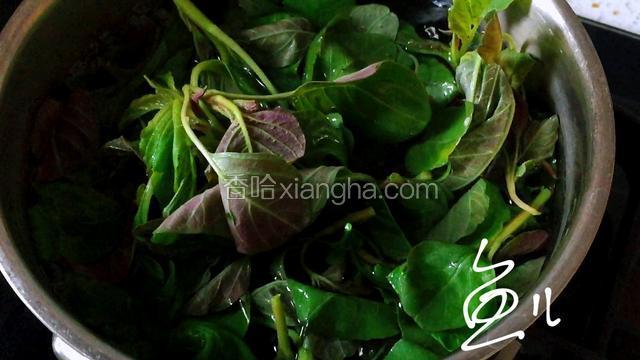 苋菜洗净，放入开水锅中焯烫30秒