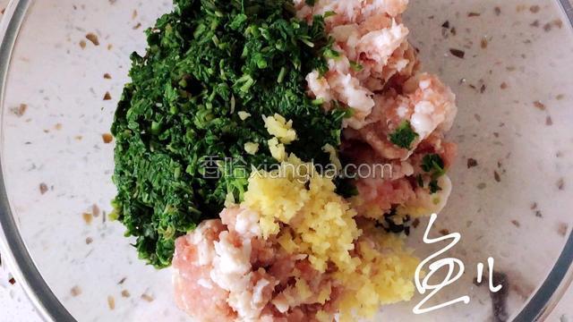 猪肉馅苋菜碎，生姜碎放入容器内