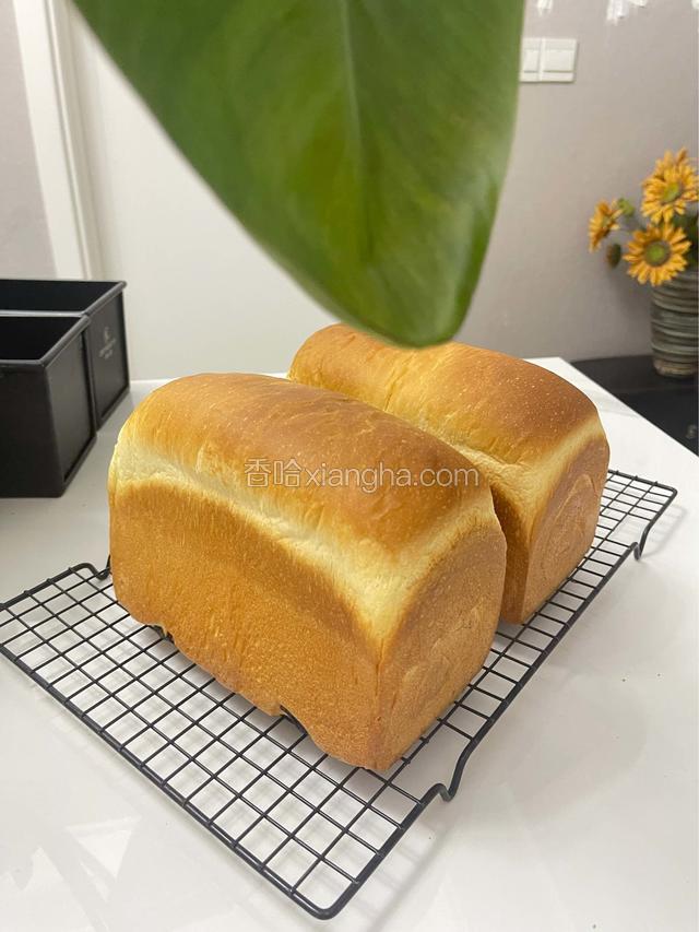 用这个配方去掉可可粉，减少10克牛奶，就可以做原味奶香吐司啦（里面放葡萄干也不错呦）