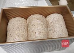 全麦吐司的做法图解14