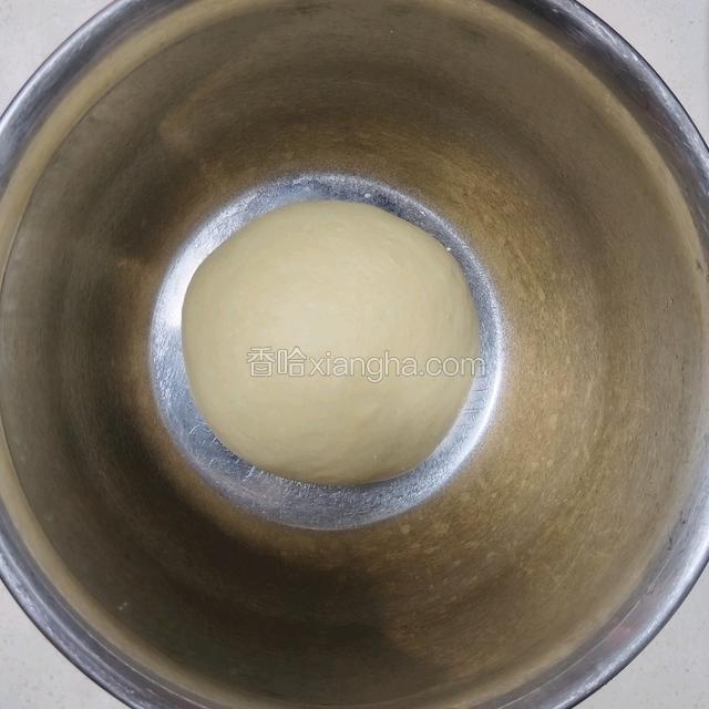 放入发酵盆发酵