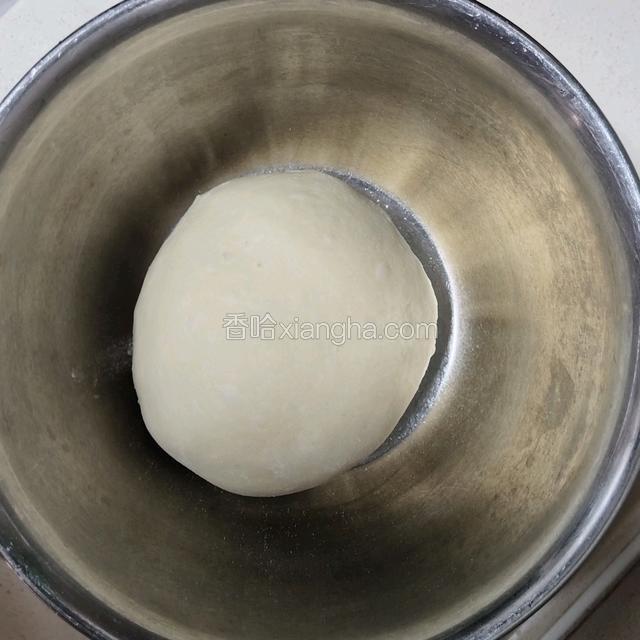 放入发酵盆发酵