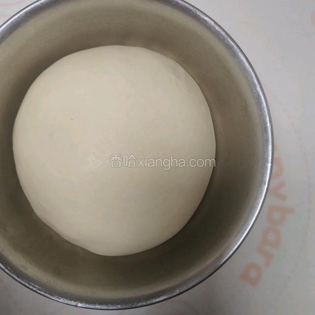 发酵至2~2.5倍大