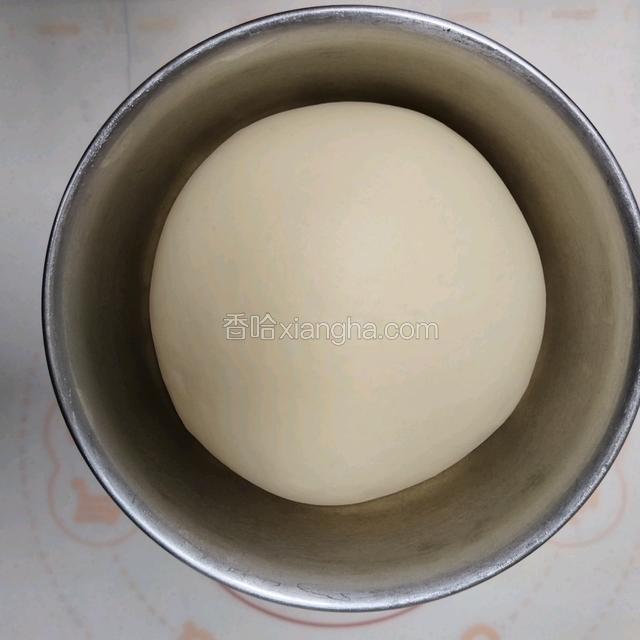 发酵好的面团
