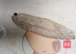 坚果全麦面包(波兰种)的做法图解14