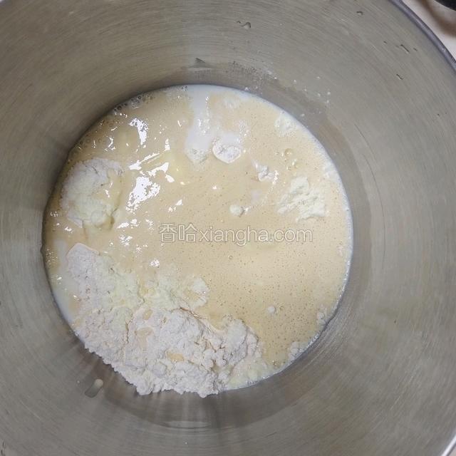 把主面团的食材，除黄油外都倒入厨师机，并加入全部的牛奶液种，1档混合均匀，4档打7分钟左右至粗膜状态