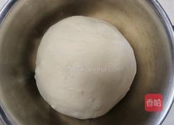 鲜奶提子吐司（2个450g吐司）牛奶液种的做法图解9