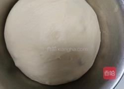 鲜奶提子吐司（2个450g吐司）牛奶液种的做法图解10
