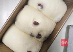 鲜奶提子吐司（2个450g吐司）牛奶液种的做法图解18