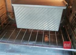 鲜奶提子吐司（2个450g吐司）牛奶液种的做法图解19