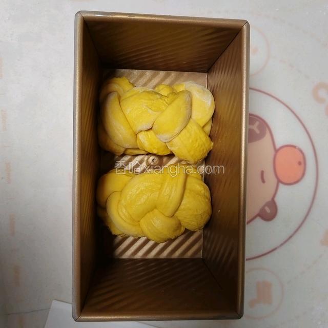 整形好的生胚（竖着放会更好，我这个有些匆忙，随便放了)